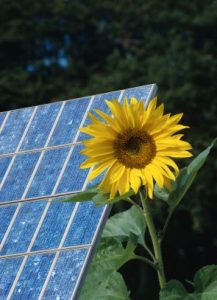 August Green Jobs Image